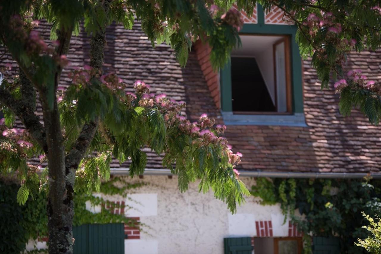 Bed and Breakfast La Demalerie à Cheverny Extérieur photo