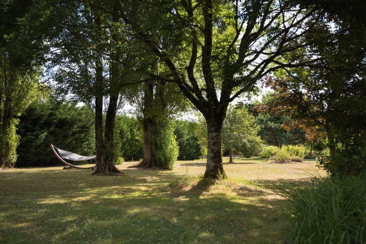 Bed and Breakfast La Demalerie à Cheverny Extérieur photo